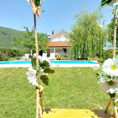 Vemini